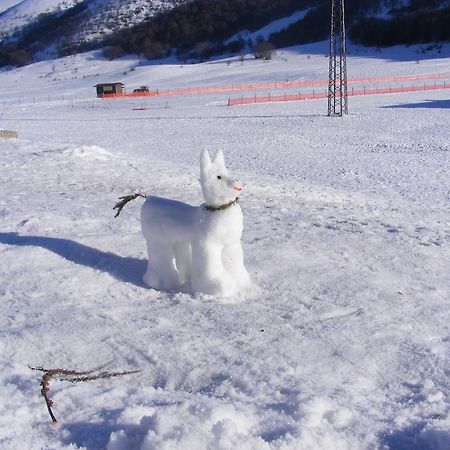 ヴィッレッタ・バッレーア Rifugio Passo Godiアパートホテル エクステリア 写真